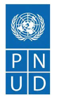 Pnud